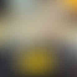 Yellow Signature-Dog II, Acrylic, 2025, 80x80cm