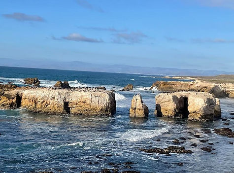 Screenshot 2025-08-14 111207.jpg