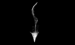 export (1)-min.png