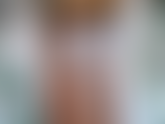 Un Progetto Speciale: La Nostra Porta Blindata per una Villa Storica a Modena