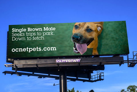 Pet Personals