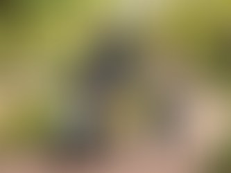 Best Strollers in India 2025: R for Rabbit vs Luvlap vs Chicco vs Joie — Tested on Indian Roads, Autos & Apartment Lifts