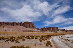 Salar de Tara - Atacama Chile