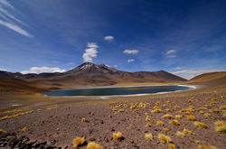 Lagunas Altiplânicas - Atacama Chile