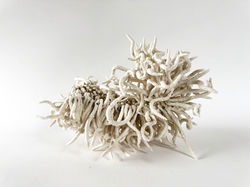 Bénédicte Vallet Céramique Galerie Florence B.