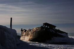 Francesca Piqueras Exposition Galerie Florence B. Noirmoutier