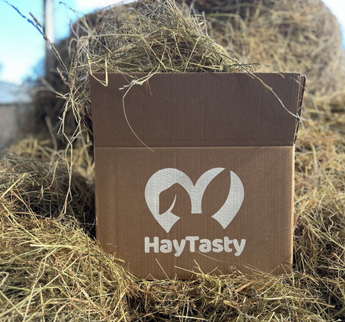 Hay Box (5kg) | Haytasty