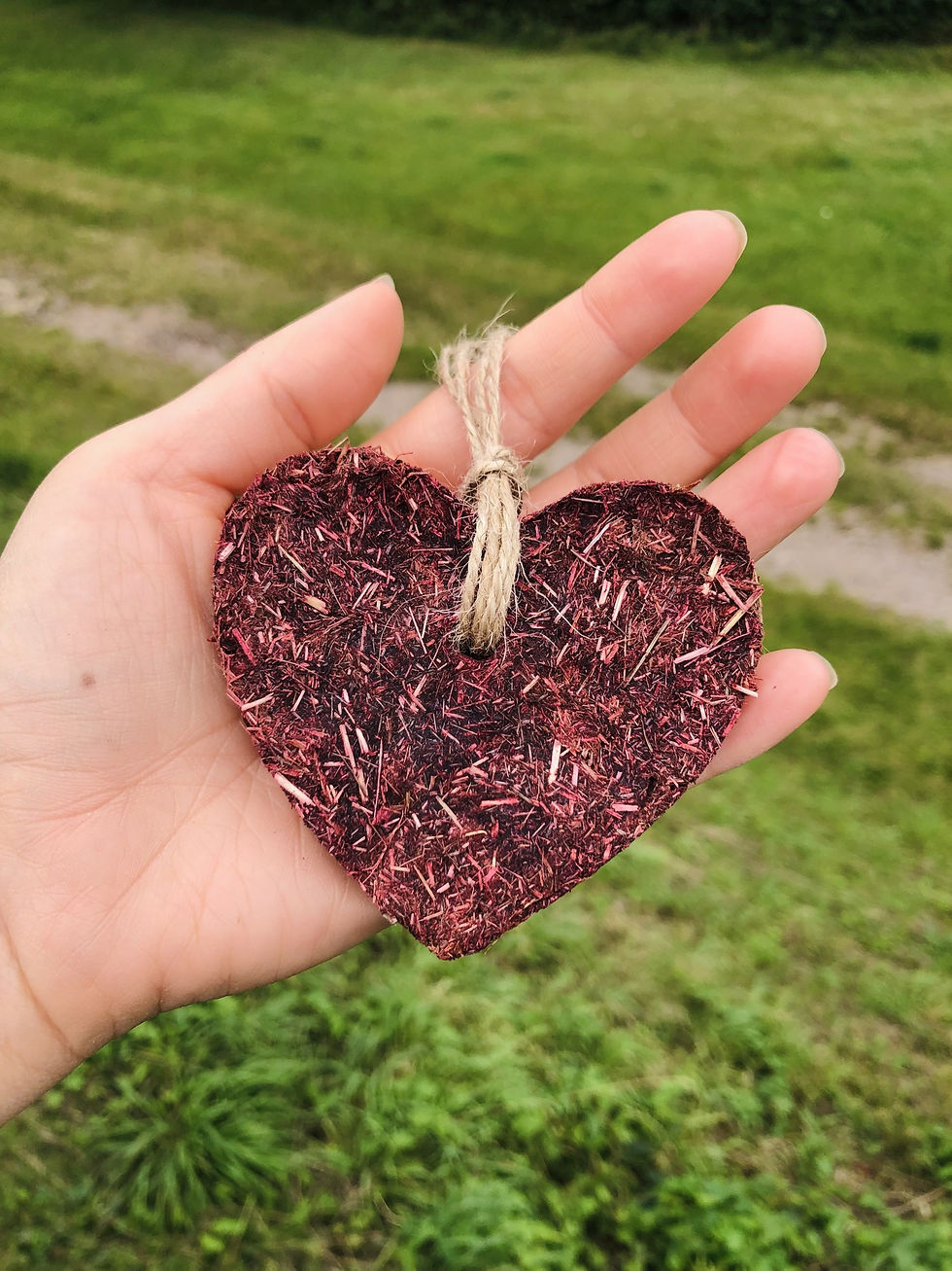Thumbnail: Hay Hanging Heart