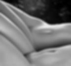 (untitled)