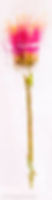The Sceptre