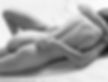 Limerence