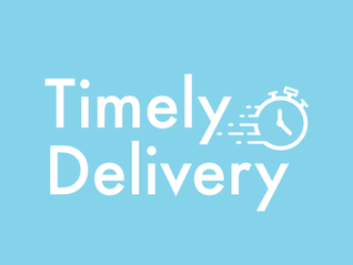 How do we ensure the timely delivery of projects?