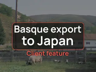Beyond Translation: A successful Basque export to Japan