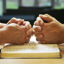 115 - Newly Born in Christ