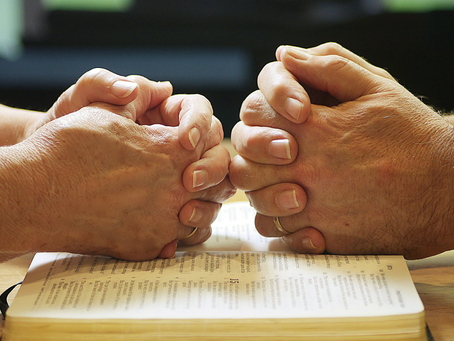 115 - Newly Born in Christ