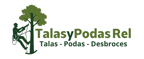 PNG logo entero color.png