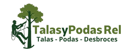 PNG logo entero color.png