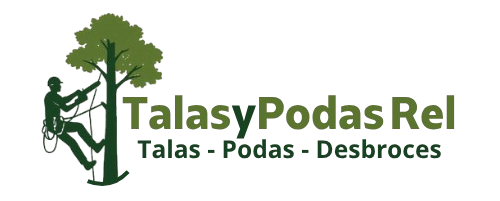 PNG logo entero color.png