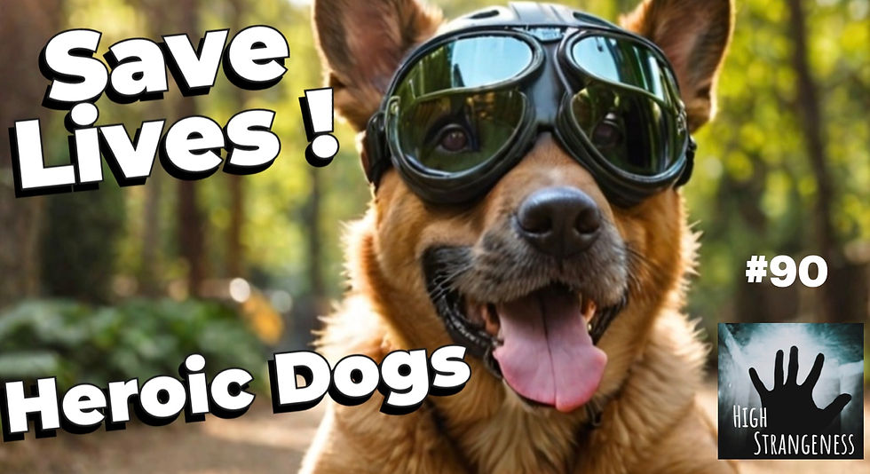 8/19/25 #90  HEROIC Dogs Trained to SAVE LIVES! 