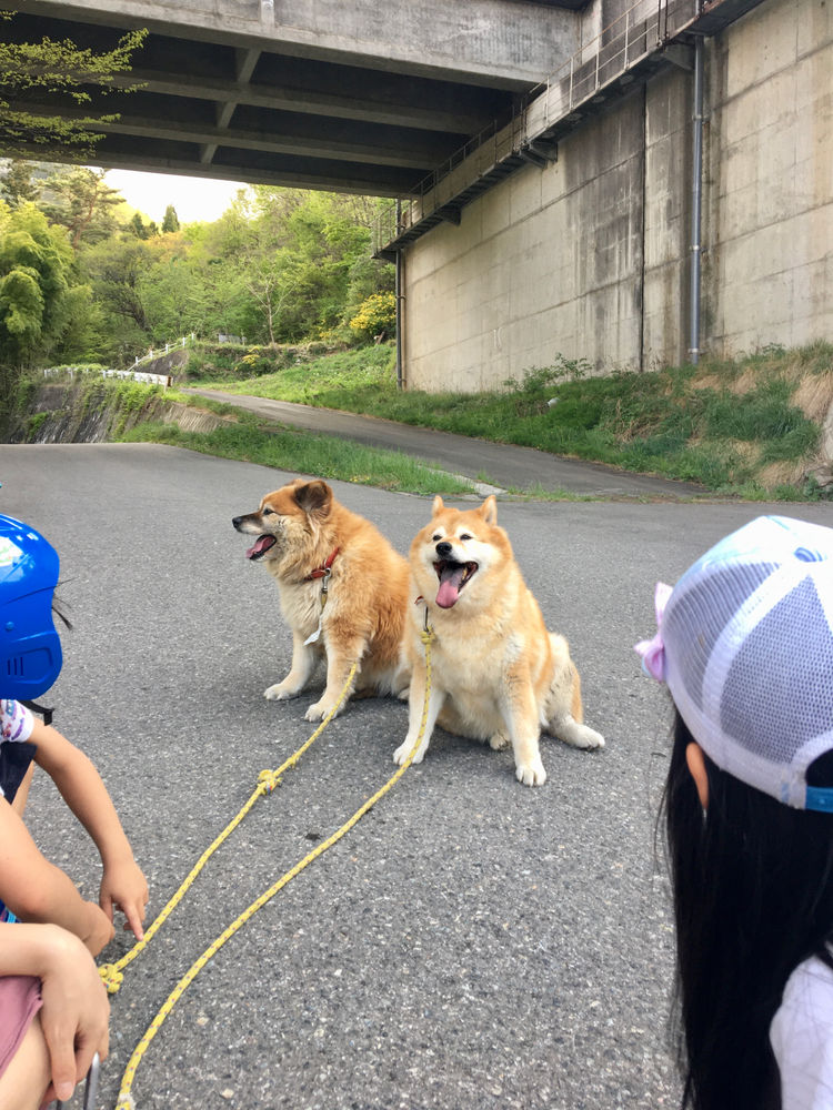 自転車を故障した 英語