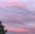 Evening Sky Aug4 2021 Everett Ave.png