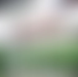 2022年2月の外来担当医のお知らせ