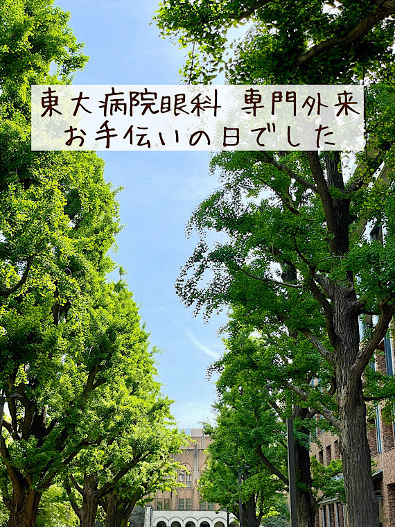 東大病院眼科 専門外来 お手伝いの日でした