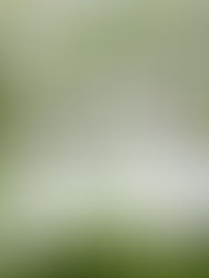 2026年ゴールデンウィーク中の休診日