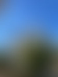 休日診療当番の日でした