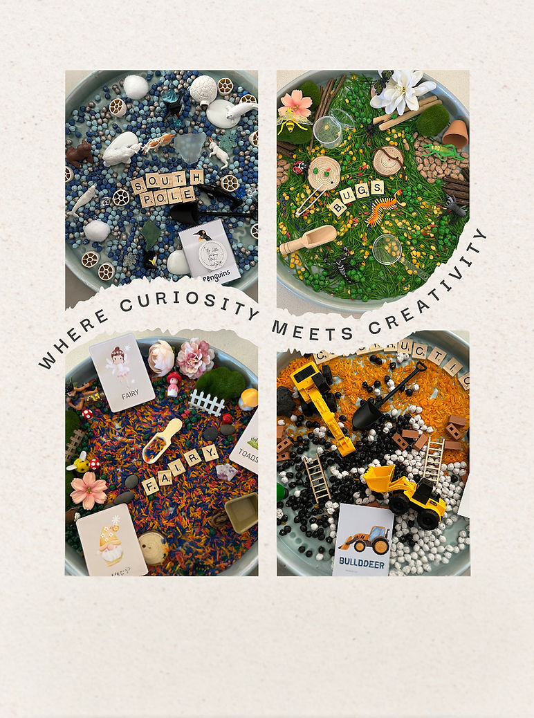 A display of four sensory learning kits including dinosaur, nature, alphabet, and number themes, featuring tactile materials,