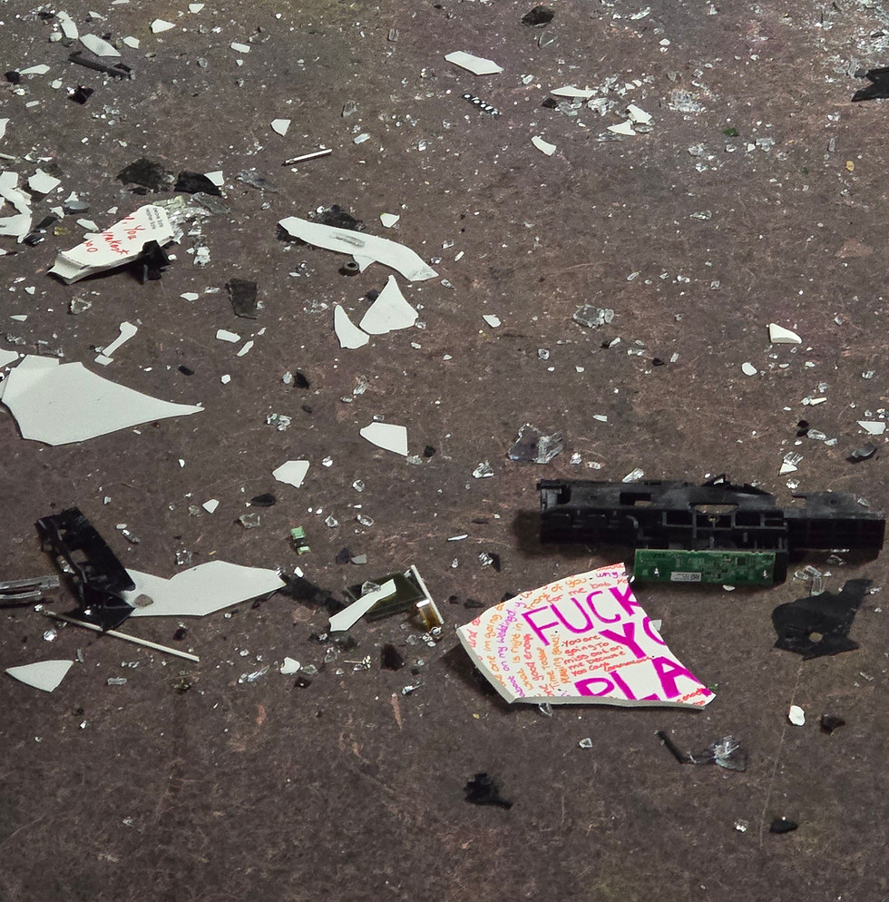 BROKE PLATE 1.jpg