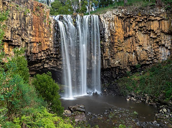 Buckle up (or hop on your bike!) for The Great Spudfest Scavenger Hunt —a fun-filled great race style hunt that takes you on a 30km adventure through some of the best locations and venues in the district!
Grab your clue sheet and guide from the Spudfest Information marquee located at the Town Square and head off to:
- Follow the clues to unique locations
- Explore local vendors along the way
- Solve tricky questions and complete fun tasks
- Find and collect scavenger hunt items
- Enjoy morning tea and lunch stop options
- Win prizes for the best answers, most creative finds, and top problem-solvers!
Drive or cycle at your own pace—this isn’t a race! Just a chance to enjoy a spud-tacular day of adventure with family and friends.
Get your answers back by 4:00pm to the collection box to be in the competition Let the hunt begin!