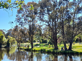 WOMBAT FORESTCARE is a community group dedicated to protecting and
enhancing the natural ecosystems of the Wombat Forest and surrounding areas.
Wombat Forestcare engages in a range of activities. We have a strong focus on
community involvement and education including flora and fauna surveys. We also enjoy the
social aspect of a forest group, with picnics and bushwalks for people who love being in the
bush.
Come and find out more about the Wombat Forest and the new National Park. There will be
guides for sale, colouring for kids, and Wombat Forestcare members to chat about the
forest and how you can join in. Everyone is welcome!!