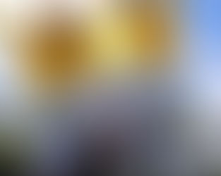 EPCOT Takes the Crown