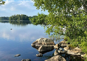 kesä3.jpg