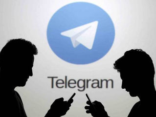 Dalam 30 Hari Terakhir, Pengguna Telegram Semakin Meningkat!