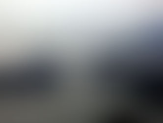 Kurangi Impor Sapi, Pulau Ini Akan Jadi Peternakan Sapi Terbesar di Indonesia