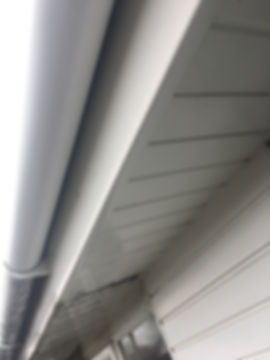 Gutter cleaning service