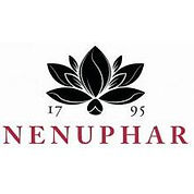 new_nenuphar.jpeg