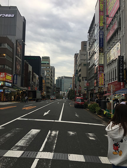 街路樹撤去後の問題