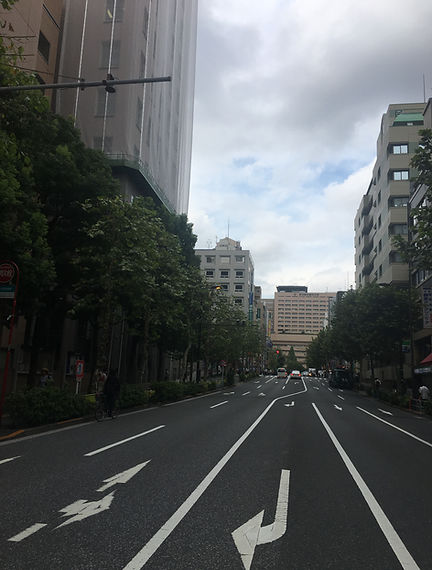 街路樹撤去前の明大通り