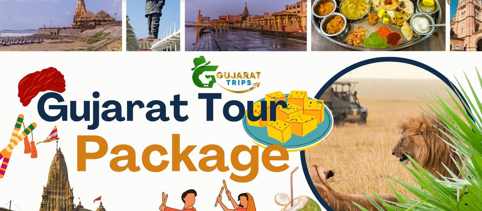 Experience Royal Heritage & Vibrant Landscapes of Gujarat