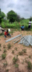 IMG-20240912-WA0002