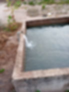 wasser marsch