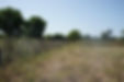 Zaun für Gartengrundstück