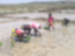 IMG-20190413-WA0013