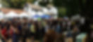 2017-Demo-Barn-Sale-Festival-1024x463.jpg
