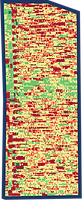 CLU1_ThickBorder.png
