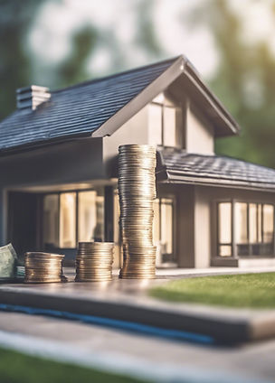 rental income from property (show money and house)__Show a modern house and money.jpg