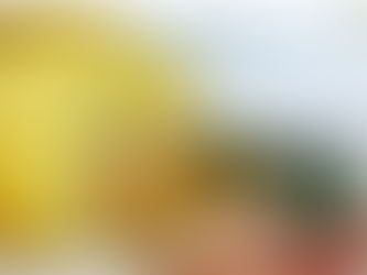 【フォワグラのテリーヌ】